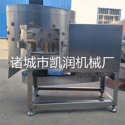 雞鴨鵝胗洗油機(jī) 雞鴨胗打油機(jī) 凱潤去油機(jī)